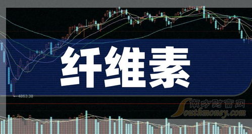 2024年8月2日 聚焦纖維素網絡技術開發的概念公司名單